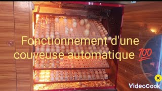 Comment fonctionne une couveuse automatique 💯 bennieagroltd agriculteursmodernes incubator [upl. by Negroj]