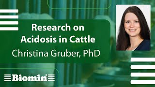 Research on Acidosis in Cattle [upl. by Swihart]