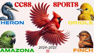 CCSS Official Sport Launch 202425 [upl. by Drona]