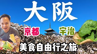 大阪自由行 2019 京都 美食之旅 大阪Outlet 國產牛燒肉放題 京都 宇治 中村藤吉 櫻花🌸 抺茶 紅綠之旅 大阪vlog 自駕遊 EP1 [upl. by Sirromaj327]