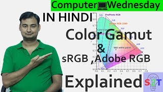 Color Gamut Explained In HINDI Computer Wednesday [upl. by Erlewine]