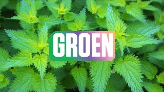 GROEN  Kiesadvies [upl. by Auric]