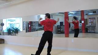 Chen Pan Ling Tai Chi Chuan Section 1 [upl. by Stricklan]