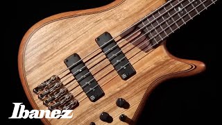 Ibanez SR Premium [upl. by Nalid281]