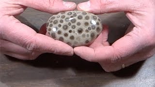 How to Hand Polish a Petoskey Stone [upl. by Yole]