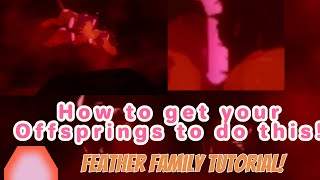 How To Get Your Offsprings To Do This  Feather Family Tutorial [upl. by Ailla]