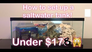 How to Set Up A Saltwater Tank for under 200 [upl. by Ziguard]