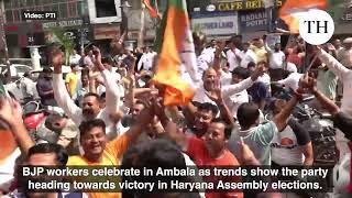 Haryana Assembly elections  BJP workers celebrate in Ambala [upl. by Bertila]