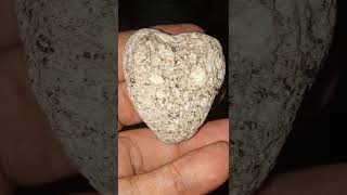 Conglomerate Stone Heart ShapeNatural Pls Subscribe [upl. by Nhoj]