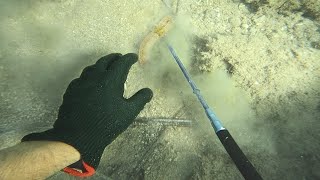 Pole Spear Shot In Slow Motion [upl. by Rhines]