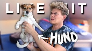 LIVE UND UNGESCHNITTEN mit Hund  Joeys Jungle [upl. by Sonafets]