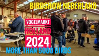 Vogelmarkt 2024 Holland Venlo Vogelbörse mit Mehr als 5000 Vögel Birdshow 2024 Nederland [upl. by Anastas443]