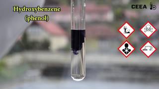 THE FERRIC CHLORIDE TEST FOR PHENOLS [upl. by Enomsed]