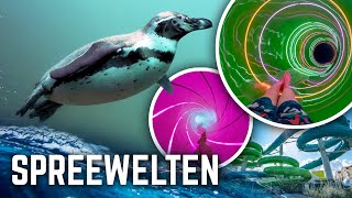 Water Park with REAL Penguins Spreewelten Lübbenau Slides POV [upl. by Aicilram]