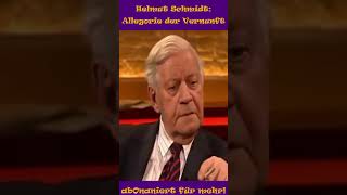 Helmut Schmidt Allegorie der Vernunft politics kokoharry shorts allegoriedervernunft [upl. by Richella374]