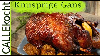 Knusprige Gans zubereiten Rezept für besten Gänsebraten [upl. by Hebner]