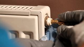 How to Bleed a Radiator  British Gas [upl. by Nosduj426]