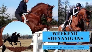 Breezing Racehorses amp Jumping My quotCRAZYquot Horse  Barn Vlog [upl. by Uis]