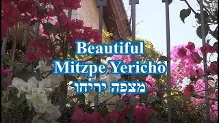 Mitzpe Yericho [upl. by Larkins]