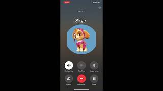 Fake Call with Skye from Paw Patrol  HighFlying Pup Surprise [upl. by Oribella200]