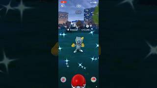 Shiny Hisuian Sneasel from GBL pokemon gaming pokemongo gobattleleague [upl. by Ikeda]