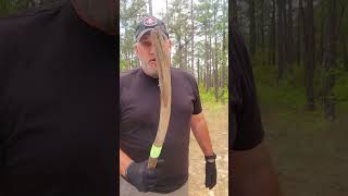 Epic Primitive Hunting Throwing Stick [upl. by Piggy]