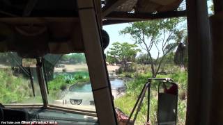 Kilimanjaro Safari at Walt Disney Worlds Animal Kingdom [upl. by Ainitsirc817]