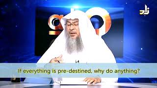 If everything is Predestined why do anything  Sheikh Assim Al Hakeem [upl. by Analli]