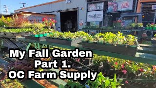 My Fall Garden Part 1 OC Farm Supply Plant Haul Zone 10B [upl. by Niall]