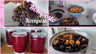 BAHÃ‡EMDEN ğŸ‡ğŸ’KIÅA HAZIRLIK ERÄ°K KOMPOSTO TARÄ°FÄ° 3SENE DURSADA HÄ°Ã‡ BÄ°ÅEY OLMAZâ€¼ï¸ [upl. by Quintin]