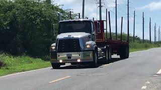 Longo ENTECH Freightliner 114SD 😍💪🏻🥵💯🚛🇵🇷 [upl. by Sirak]