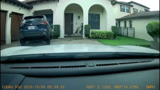 Florida woman recovering after dog attack was caught on camera while delivering groceries [upl. by Natelson]