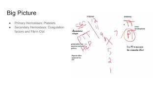 USMLE Pharmacology  Anticoagulants amp Antiplatelets [upl. by Lliw359]