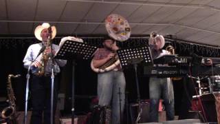 Dujka Brothers Polka Band Youth and Pleasure Polka 32517 [upl. by Bounds]