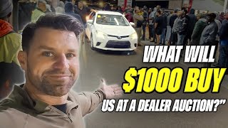 There are SO MANY CHEAP CARS at this Dealer Auction in Florida [upl. by Nadual832]