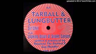 Tarball amp Lungbutter  Looking Down At Snake Canyon Acid Techno 1999 [upl. by Justina]