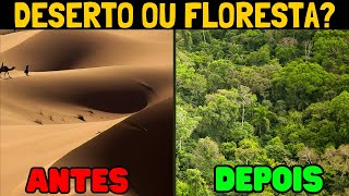 Floresta no Saara A ideia que pode mudar o mundo [upl. by Aihsenat]