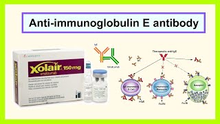 antiimmunoglobulin E antibody [upl. by Tanner]