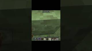 I got rid of the Endermen minecraft enderman enderdragon minecraftshorts [upl. by Natalee]