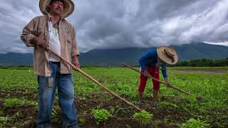 Cabañuelas tradición de predicción meteorológica del año IUSAsesores Noticias [upl. by Blondelle278]