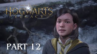 Hogwarts Legacy PS4 Gameplay  Part 12 Dragon Arena [upl. by Nicoli]