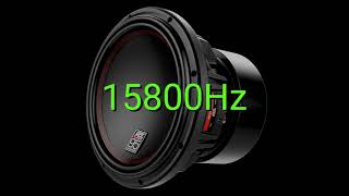 Tone frequency 15800Hz Test your hearing speakersheadphonessubwoofer [upl. by Mode]