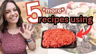 5 MORE Ground Beef recipes SO GOOD [upl. by Arata]