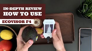 SOEKS Ecovisor F4 Best Geiger Counter Radiation Detector EMF Meter Food Water Nitrate Tester Review [upl. by Assiren]