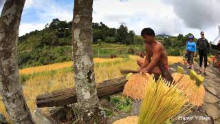 Mayoyao Ifugao Travel Timelapse [upl. by Bradway]