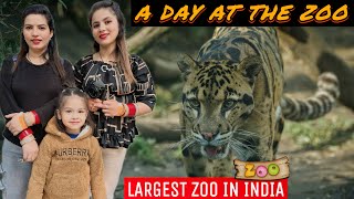 A DAY AT ZOO  LARGEST ZOO IN INDIA [upl. by Dahraf336]