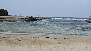 Clovelly Beach Sydney Australia Oct 2024 [upl. by Purvis184]