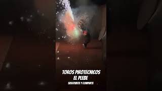 Toro Pirotecnico music fuegosartificiales santafeklan [upl. by Anitsirhk]