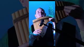 Unchained Melody music panflutemusic flute panflute [upl. by Jonie778]