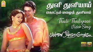 Thuli Thuliyai Kottum Malai Thuliyai Song Nathaswaram Music [upl. by Aivax]